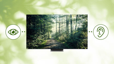 Nuestra prioridad, hacer televisores más accesibles