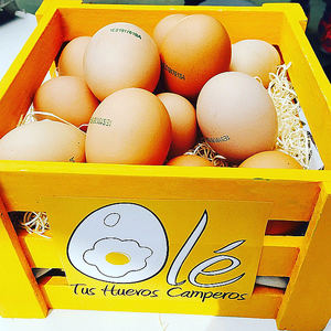 La franquicia Olé Tus Huevos Camperos continúa su proceso de expansión en franquicia