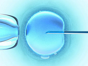 Un nuevo protocolo médico permite un 80% de éxito en las ovodonaciones