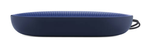 RoyalBlue