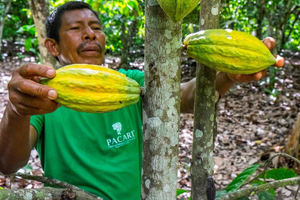 Pacari, reconocida entre las mejores ‘Empresas B’ del mundo por su gran labor con la sociedad