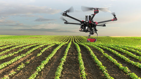 Agricultura y ganadería a distancia en tiempos de coronavirus