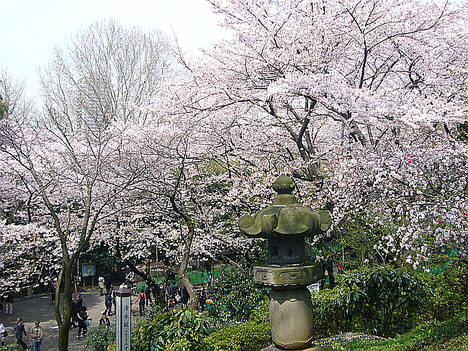 Parque Ueno