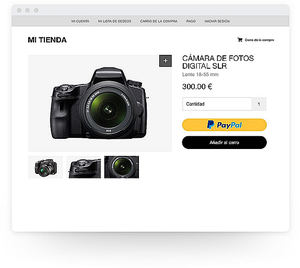 PayPal Checkout y Soluciones de marketing de PayPal se extiende a empresas de todo el mundo