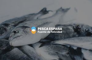 Promoción de los productos del mar, defensa de la actividad pesquera y mucha felicidad en el primer año de Pesca España