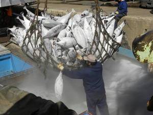 Un novedoso acuerdo contra la pesca ilegal, a punto de entrar en vigor
