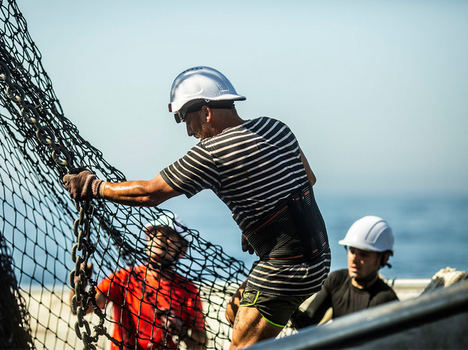 Pescador de Echebastar Oceano índico.