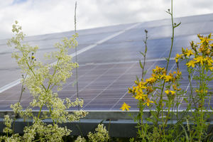 Quercus firma un acuerdo con BayWa r.e. para la adquisición de 700 MW de desarrollo fotovoltaico en España