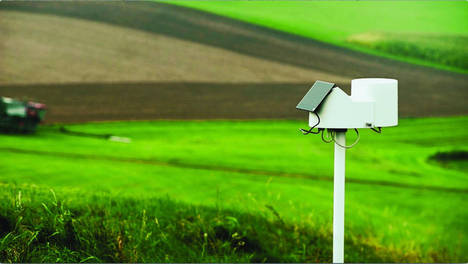 Codesyntax desarrolla una plataforma de agricultura inteligente para la firma onubense IG4 Agronomía