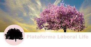 Plataforma Laboral Life propone un “Pacto Solidario” entre trabajadores y empresas para mejorar el empleo responsable