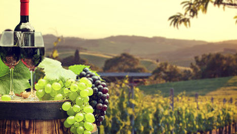 Pérdidas millonarias nublan el futuro del sector del vino