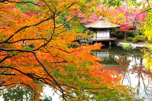 Turismo de Japón regresa a Fitur y promueve la sostenibilidad, diversidad y seguridad del destino