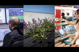 #Project1Hour, el poder de las ideas