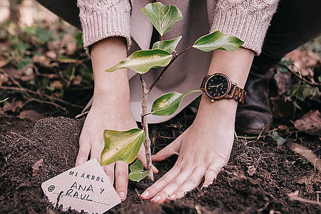 ONE OAK plantea unas rebajas más sostenibles mediante la reforestación de 10.000 árboles en Galicia