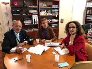 FECE se reúne con Mª Pilar Lucio, portavoz de Energía del PSOE en la Comisión de Transición Ecológica