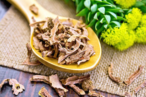 Rhodiola.