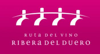 Enoturismo sobre dos ruedas entre viñas
