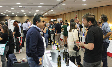 Vinos de Terruño, los más valorados por los profesionales en Madrid