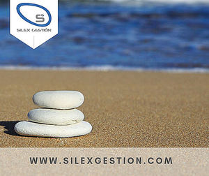 Silex Gestion: Oportunidades de Inversión seguras y rentables con garantía hipotecaria