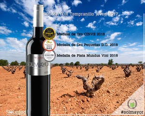 Los vinos elaborados con la variedad Tempranillo de Bodega Soledad continúan siendo referente de calidad en la D.O. Uclés y en la provincia de Cuenca