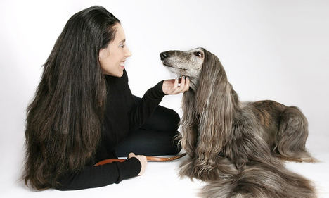 Una de cada 7 parejas españolas reconoce tener menos sexo por culpa de sus mascotas