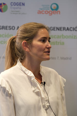 Las subastas de cogeneración impulsarán la descarbonización de la industria calorintensiva