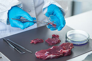 Los controles en los productos agroalimentarios para evitar infecciones de los consumidores