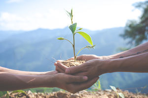 El consumo por suscripción se posiciona como la única alternativa para limitar la producción y detener el cambio climático