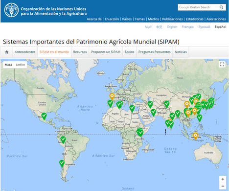 Reconocimiento mundial para el sistema de producción de la uva pasa de Málaga y la sal de Añana