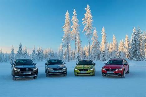Los Skoda 4x4