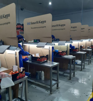 “Diseñado para ayudar”, la nueva gama de soluciones de Smurfit Kappa para hacer frente a la Covid-19