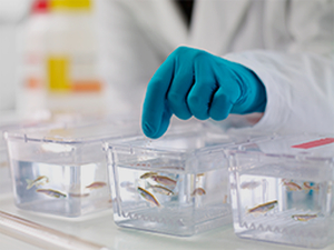 La empresa navarra Ikan Biotech obtiene un préstamo participativo de Sodena