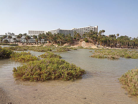 Descubrir la isla que sorprendió a Unamuno, desde el mejor hotel de Fuerteventura