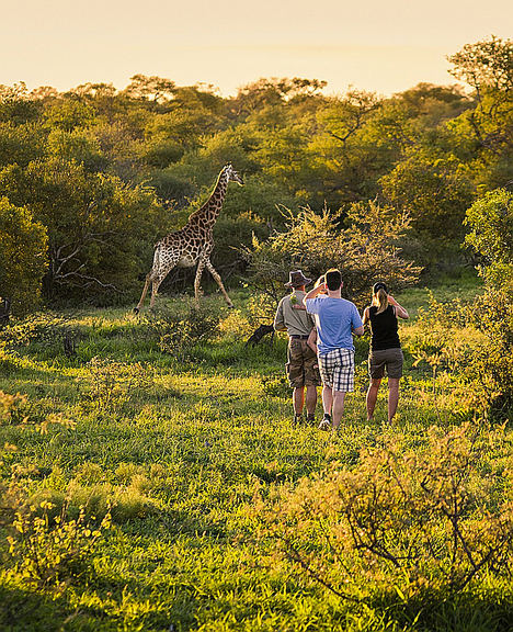 Turismo de Sudáfrica presenta nuevas rutas y productos en Fitur 2020