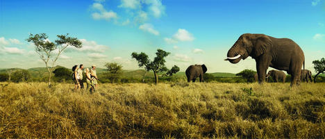 Turismo de Sudáfrica presente en Fitur 2018