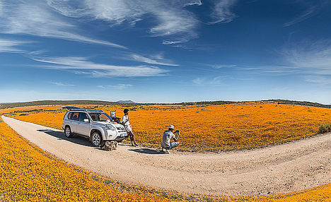 En Sudáfrica las flores crecen en el desierto