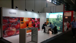 Sunzest Fruits, presente en la Feria Fruit Logística por segundo año consecutivo