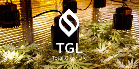El CMO de TodoGrowLED vende su participación en la compañía y funda su propia empresa, Total Grow Life