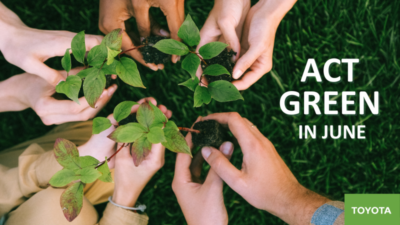 Green Month: Toyota celebra el mes del medioambiente
 