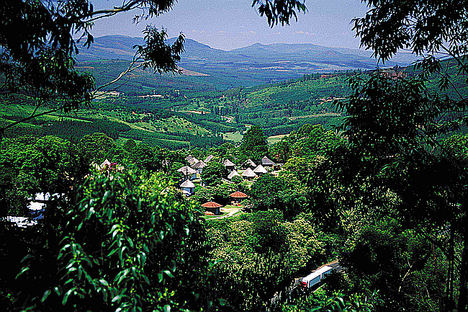 Magoebaskloof.