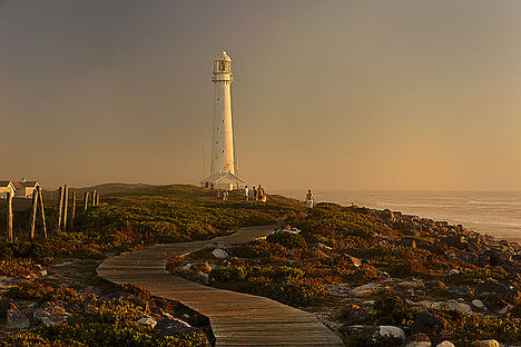 Slangkop Point.