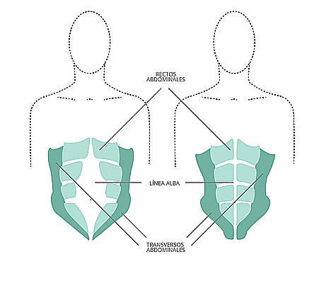 Un español idea un método revolucionario para recuperar el abdomen tras el parto