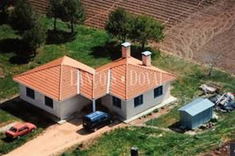 Un vivero de frutos rojos se vende por 650.000 euros en Palencia