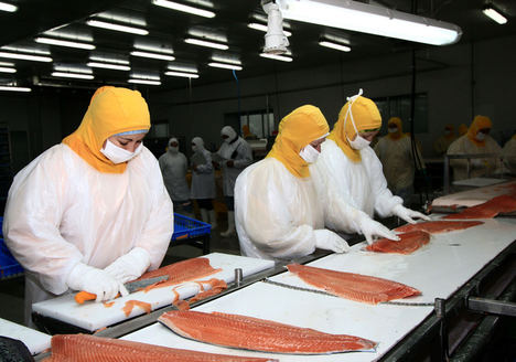 Chile aúna esfuerzos para mantener el nivel de sus exportaciones de alimentos hacia el mundo