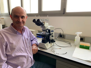 PVT-COVID, el tratamiento de la compañía española PlusVitech que podría acelerar la recuperación de los pacientes de Covid19, se basa en un fármaco que ya está disponible en las farmacias hospitalarias
