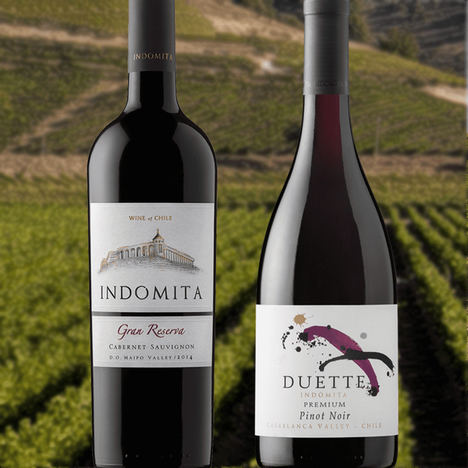 Grupo Marqués del Atrio introduce en España referencias de vinos internacionales de exclusivas zonas del mundo