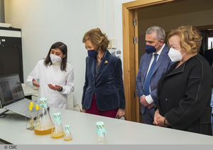 La Fundación Reina Sofía y la Fundación Primafrio impulsan ReCrea, proyecto desarrollado por el CSIC para la gestión sostenible de plásticos