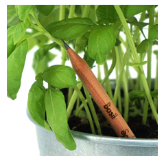 ¿Vuelta al cole eco friendly? Planta estos lápices después de su uso