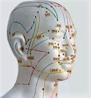 Yamamoto New Scalp Acupuncture Craneopuntura del Dr. Yamamoto, con el Dr. Hans Ogal