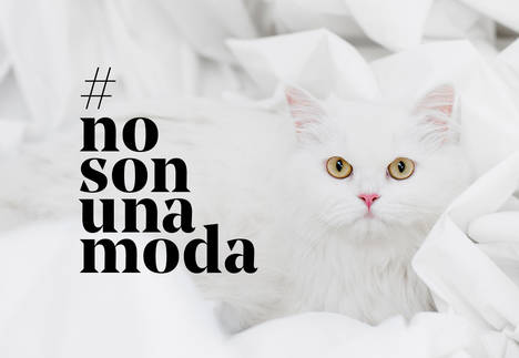 Fundación Affinity lanza la campaña #NoSonUnaModa contra el abandono de animales